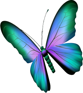 Evelyn Schweizer Kurse Logo