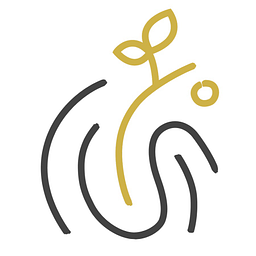 YOUCISION Logo