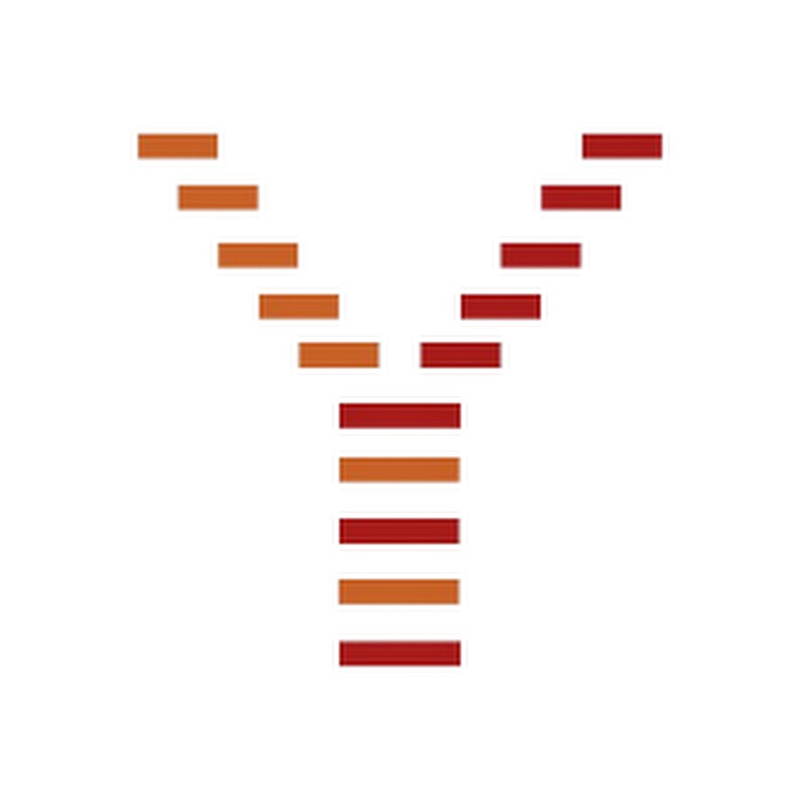 YourESim Logo
