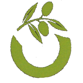 Ypsilon Logo