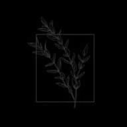 Anheier Yvonne Fotografie Logo