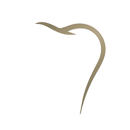 MVZ Zahngenial GmbH Logo