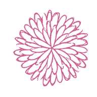 ZauberNuss Floristik und Dekoration Floristikgeschäft Logo