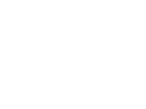 Zeitgeist HiFi Logo