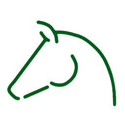 Zgm Sports Logo