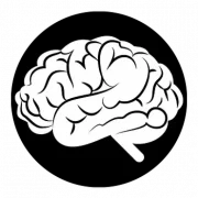 Z-Health Performance Logo
