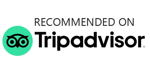ZIPTRANSFERS Logo