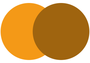 Zitotrade Logo