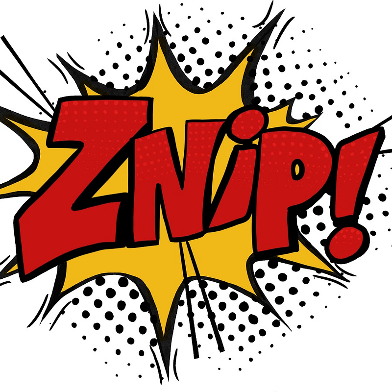 Znip Academy Logo