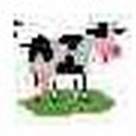 Zum Kirschgarten Gaststätte Logo