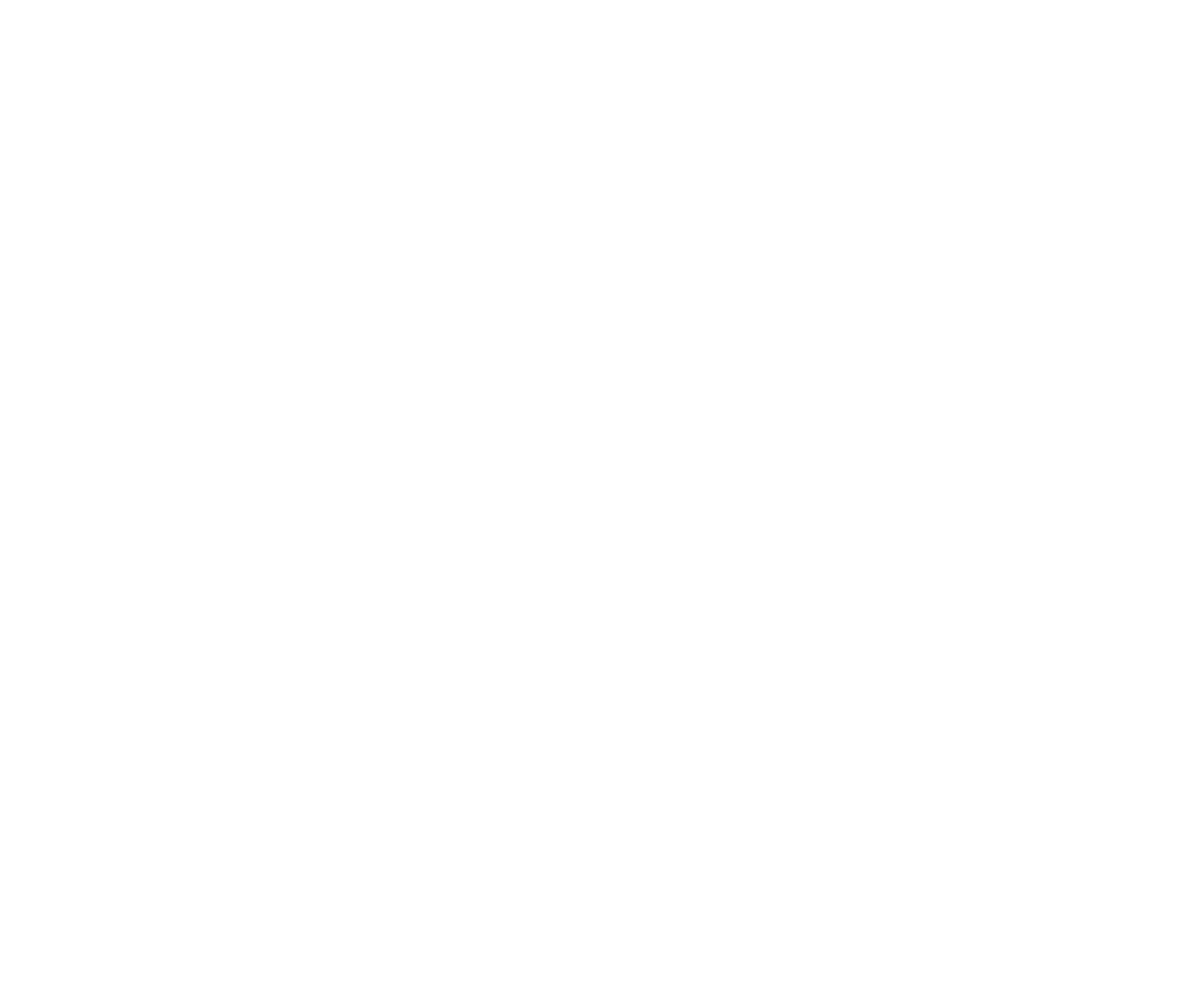 Vojnikovic Zlatan Logo