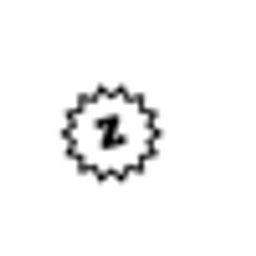 Zyler Logo